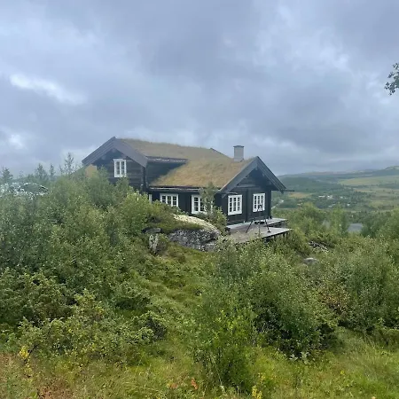 Great With Gorgeous Mountain Views Dagali