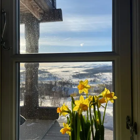 Great With Gorgeous Mountain Views